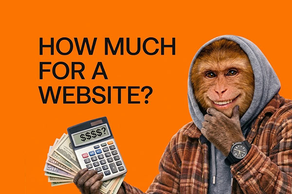 A monkey-faced figure in a hoodie and plaid jacket holding a calculator showing ‘$$$?’ and a fan of dollar bills against a bright orange background with the text ‘How Much For a Website?’