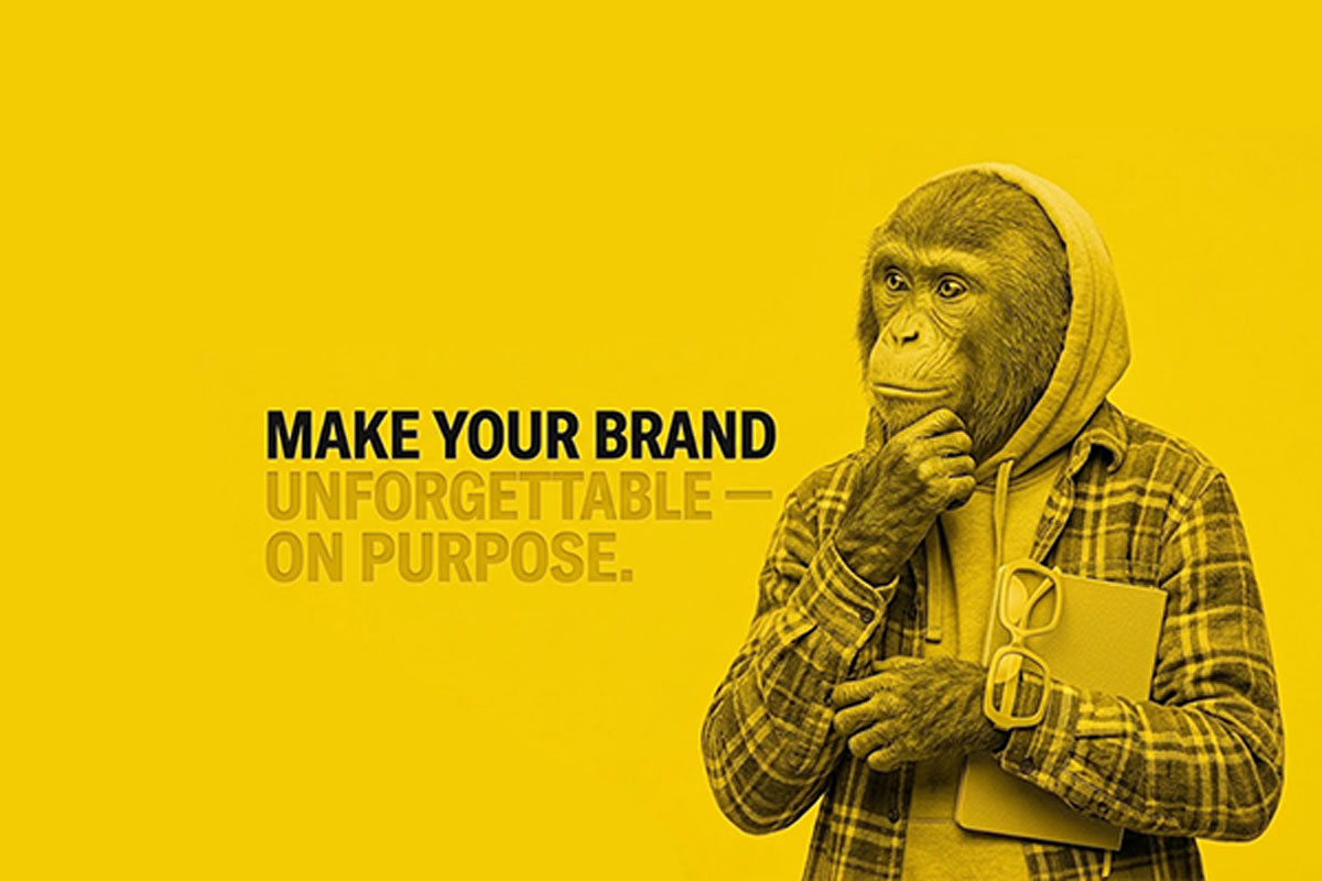 A chimpanzee in a hoodie and plaid shirt holding a tablet thoughtfully against a bright yellow background